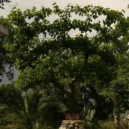 I Gelsi * Francavilla Marittima