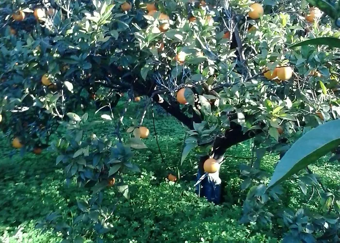 I Gelsi Francavilla Marittima